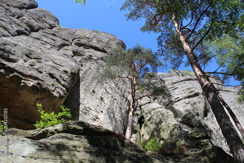 Felswand in der Sächsischen Schweiz photo