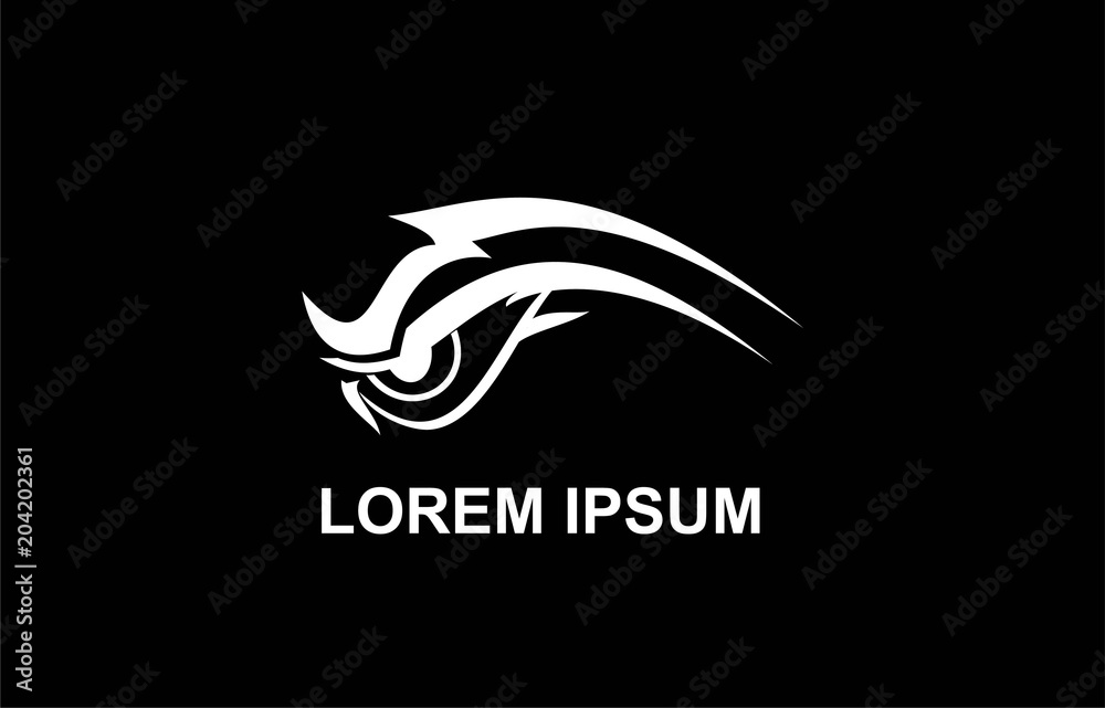 Fototapeta premium Eye, eyes , white eye on black