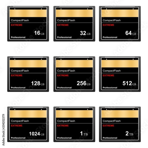 Set of black standard digital compact flash memory cards of different sizes on a white background. Collection media card for digital data 