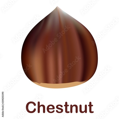 Chestnut icon. Realistic illustration of chestnut vector icon for web design isolated on white background