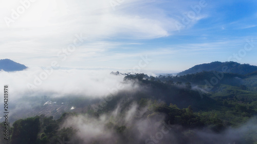 Fototapeta Naklejka Na Ścianę i Meble -  morning fog in dense tropical rainforest, south of Thailand