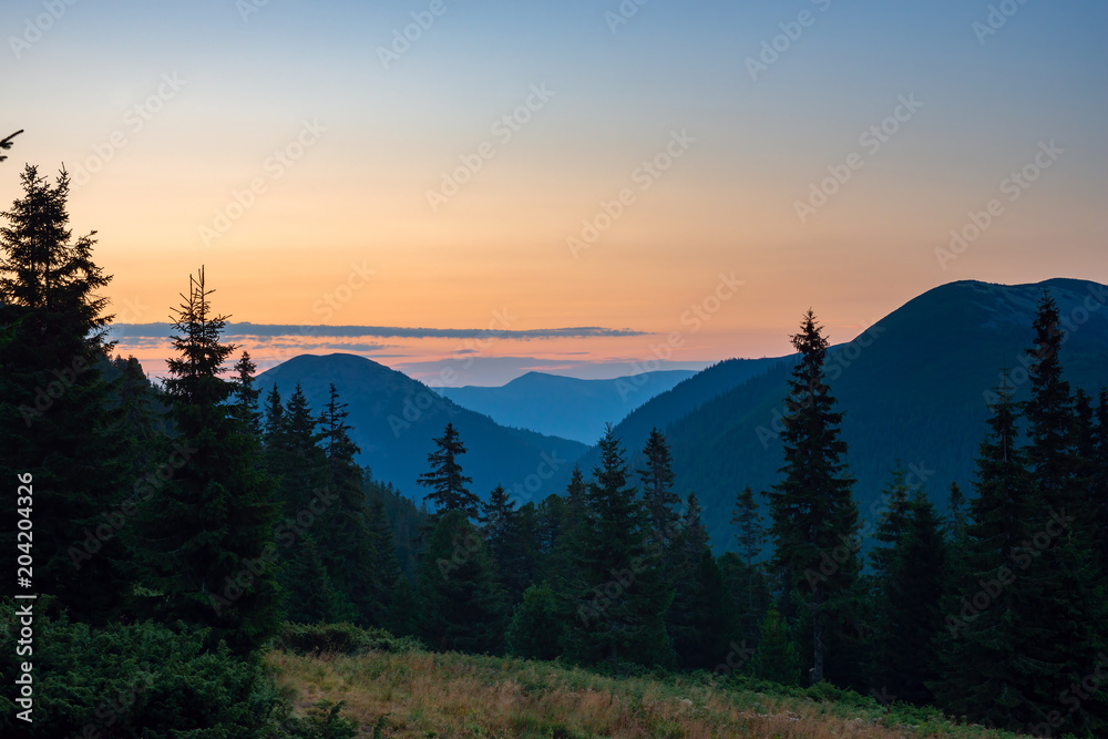 Stunning view of the mountain meadow during sunset
