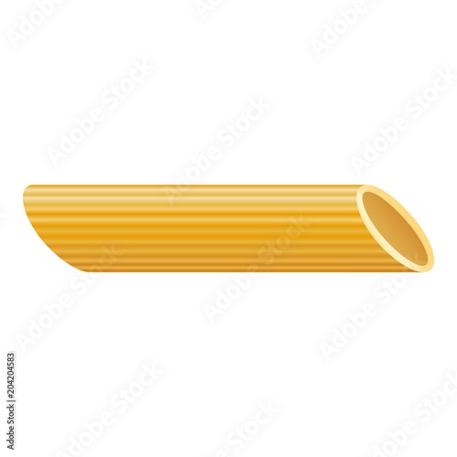 Penne pasta icon. Realistic illustration of penne pasta vector icon for web design isolated on white background