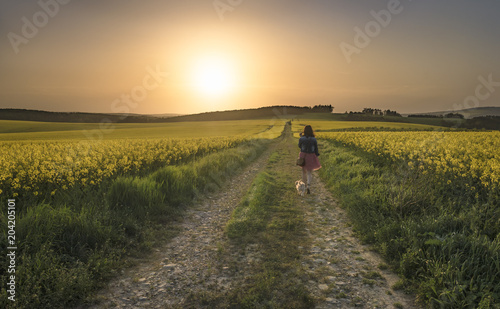 Woman with dog walking through rapeseed fields
