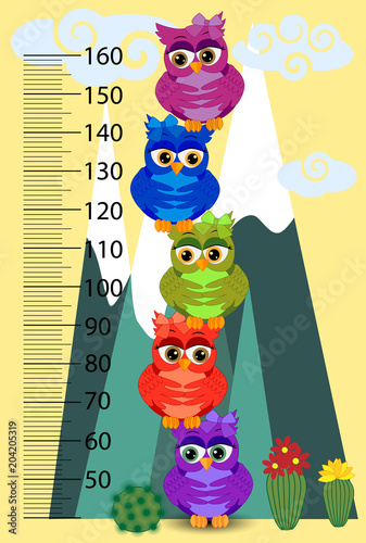 Kids height meter with cute owls. Funny stadiometer from 50 to 160 centimeter.