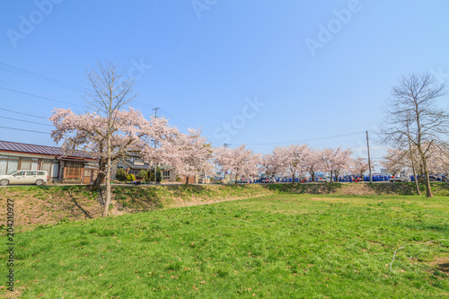 春の新庄城跡の風景