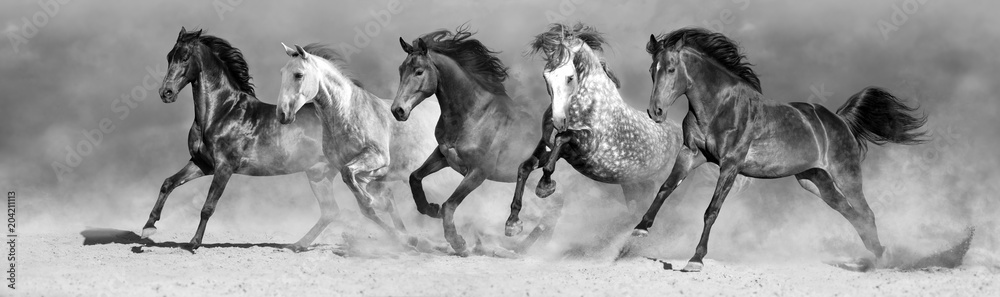 Naklejka premium Konie biegają szybko w piasku na tle dramatycznego nieba. Czarny i biały