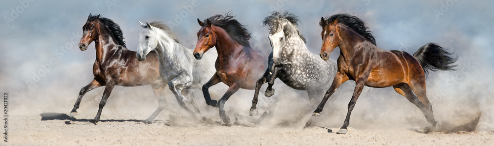 Horses run fast in sand against dramatic sky