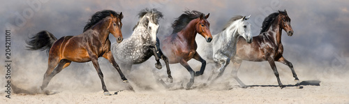 Konie biegają szybko po piasku na tle dramatycznego nieba