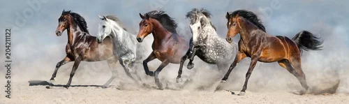 Obraz Konie biegają szybko po piasku na tle dramatycznego nieba