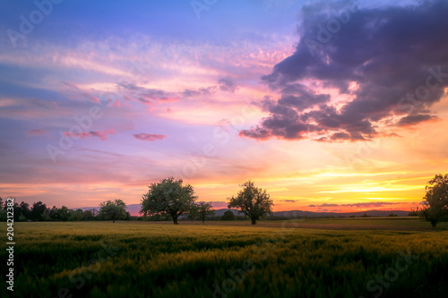 Colorful countryside sunet © YuriFineart