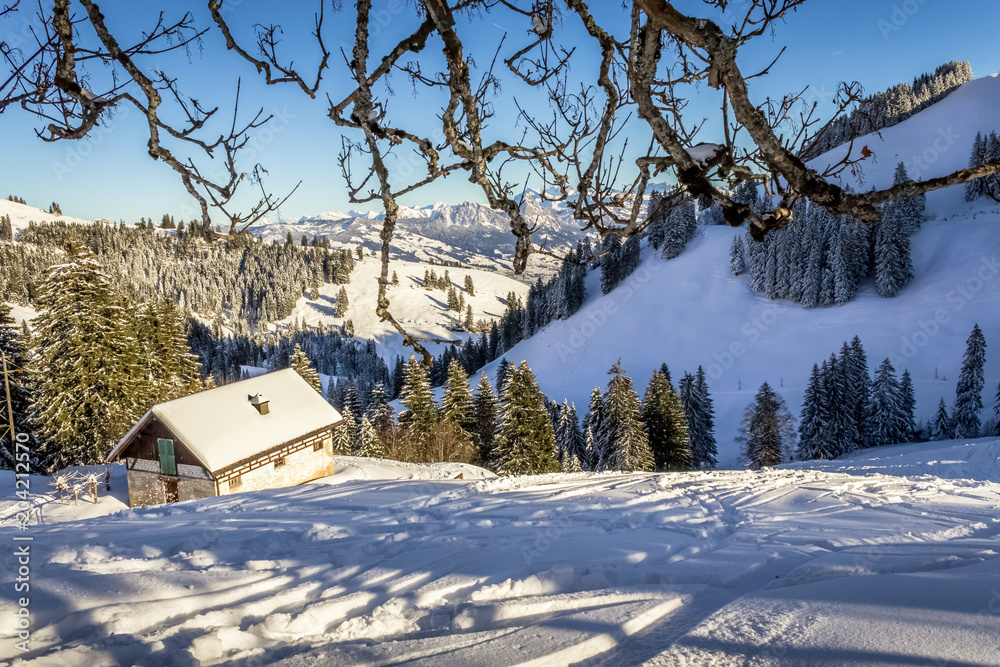 Hut in swiss mountains in winter with snow landscape Hut in swiss mountains in winter with snow landscape