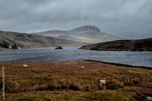 Isle of Skye - Old man of Storr photo