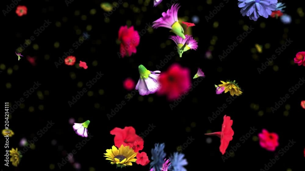 Colorful big flowers background in 4K