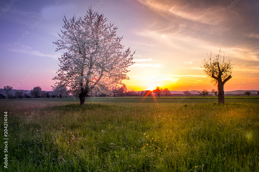 Fototapeta premium Countryside Landscape Sunset