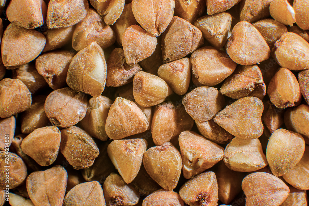 background of grains of buckwheat groats background of grains of buckwheat groats