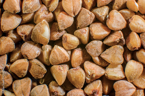 background of grains of buckwheat groats