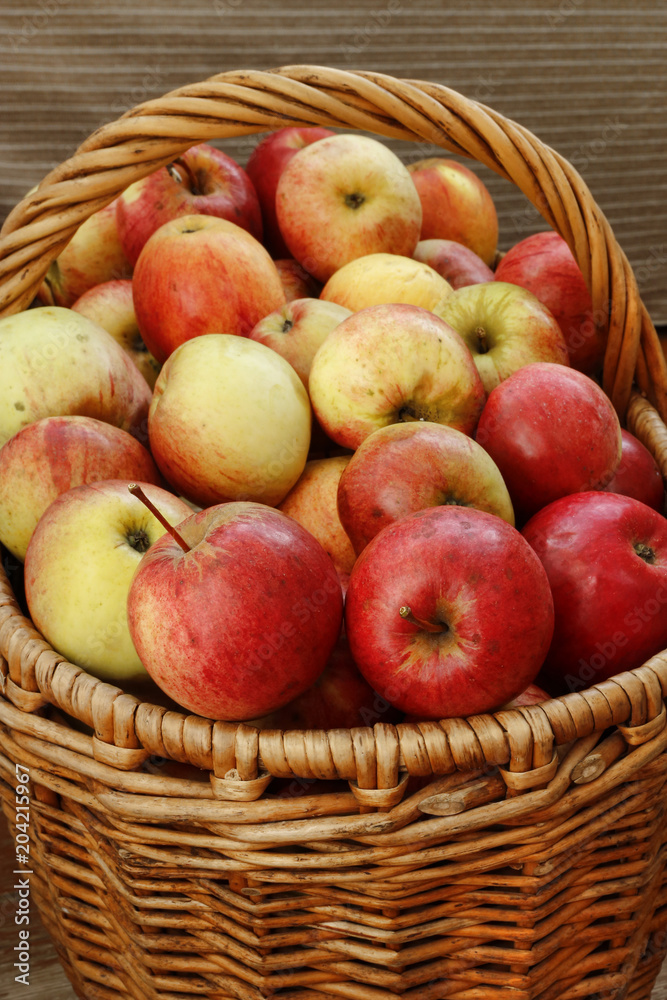 Bright tasty ripe apples in a basket Bright tasty ripe apples in a basket