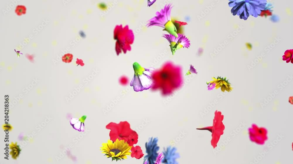 Colorful big flowers background in 4K