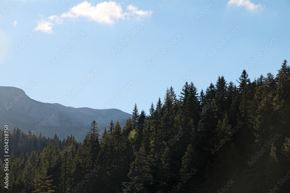 National Park Durmitor in Montenegro National Park Durmitor in Montenegro