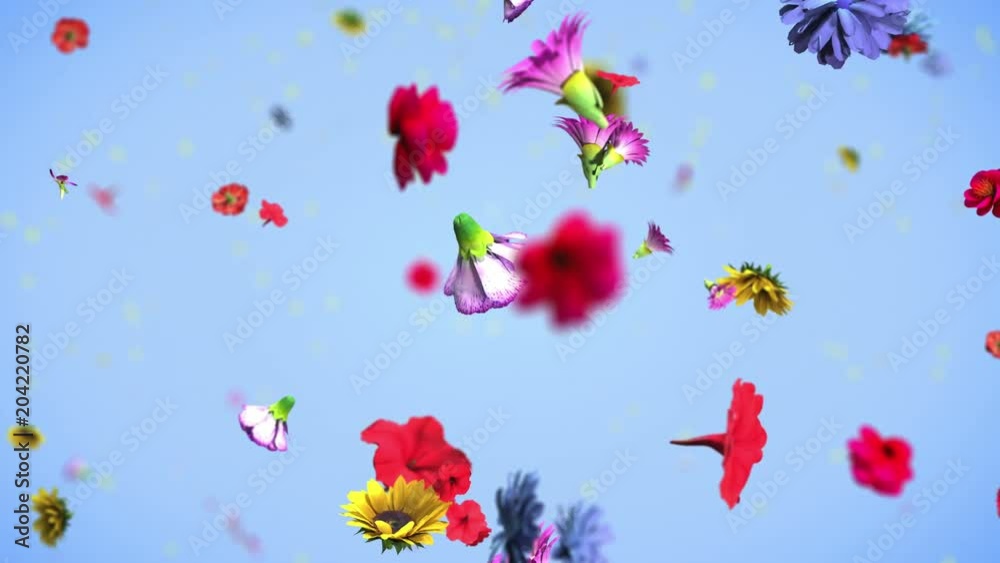 Colorful big flowers background in 4K