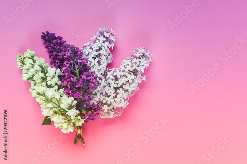 Three types of lilac flowers in a bouquet - pink, white and purple syringa flowers on pink background with blank space. Top view, Flat lay.
