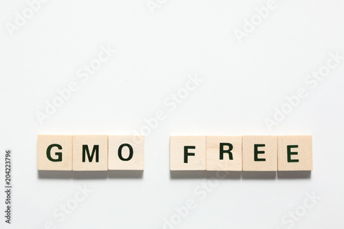 words gmo free made of wooden block isolated on white background