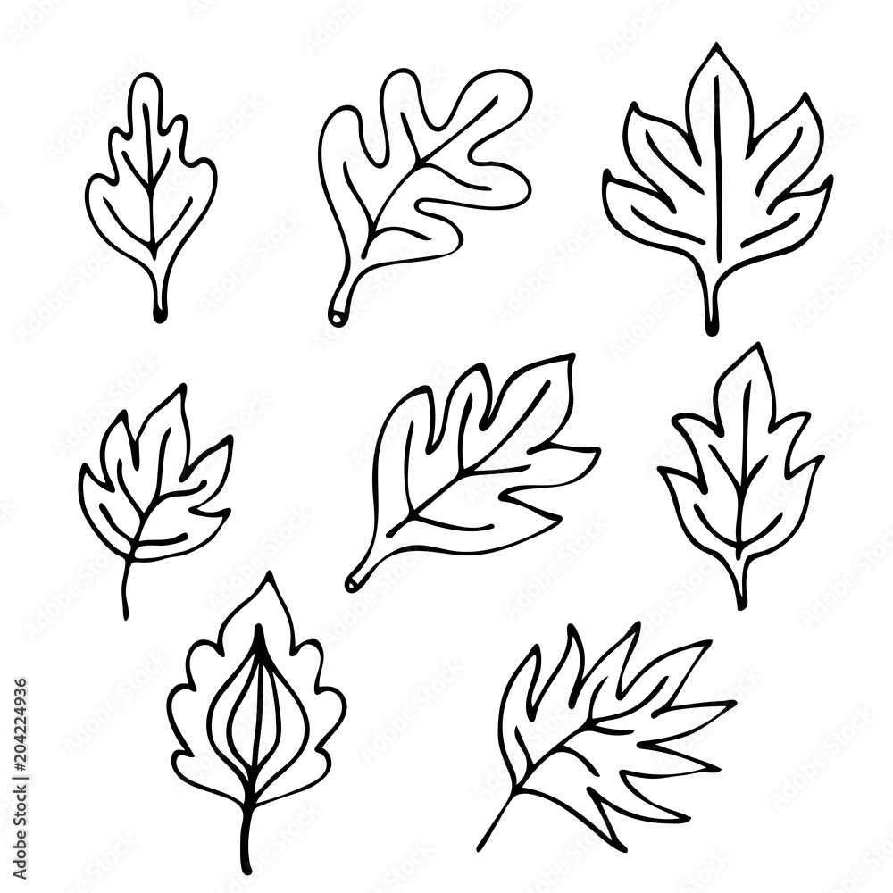 Hand drawn leaves set isolated on white background. Design elements for coloring book for adults. Vector illustration.