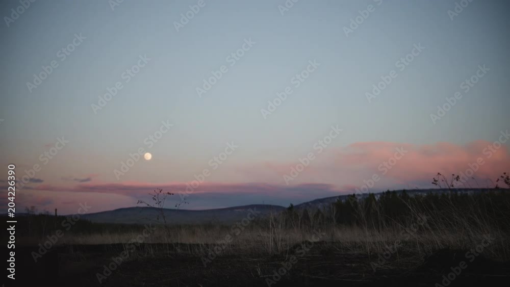 Beautiful spring landscape in a field on the sunset Beautiful spring landscape in a field on the sunset