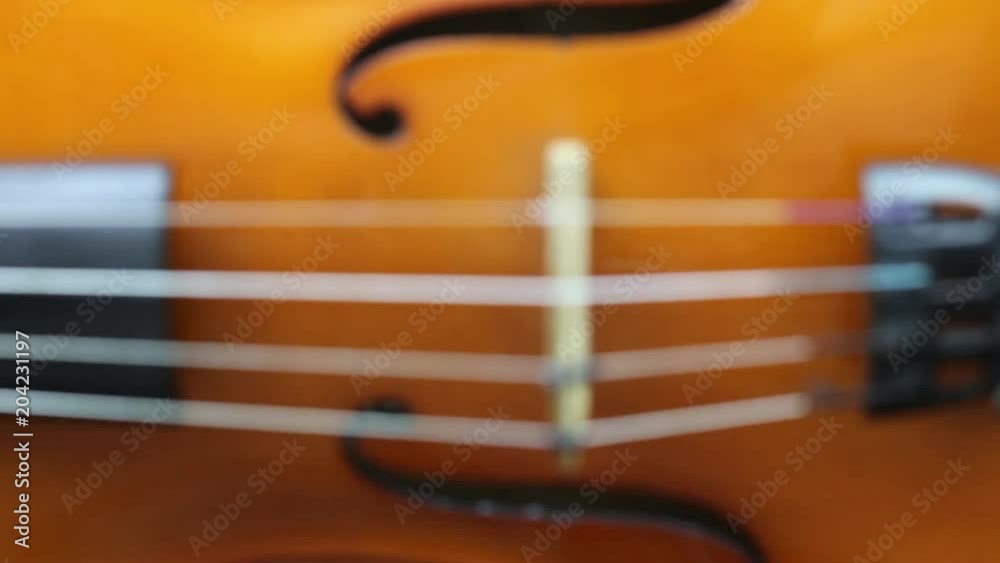 Violino