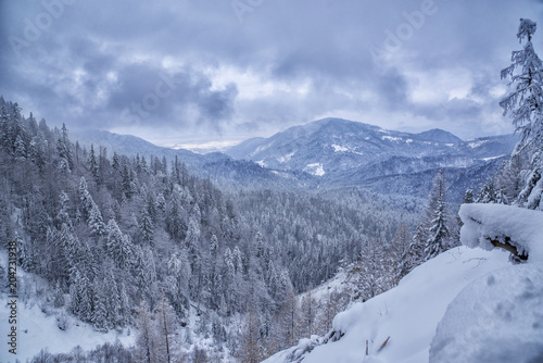 Winter landscape with mountains and forests covered in snow