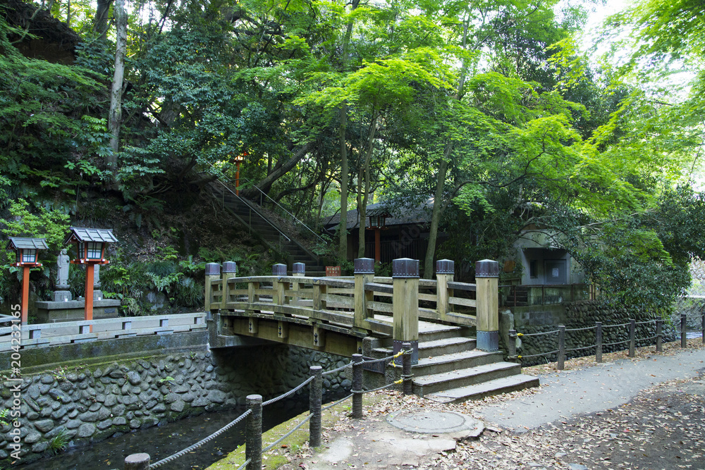 等々力渓谷 利剣の橋 等々力渓谷 利剣の橋