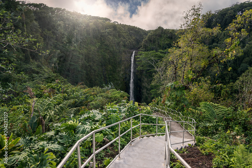 Akaka Falls State Park, Hawaii photo