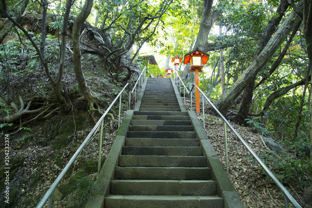 Fototapeta premium 等々力渓谷と等々力不動尊をつなぐ階段