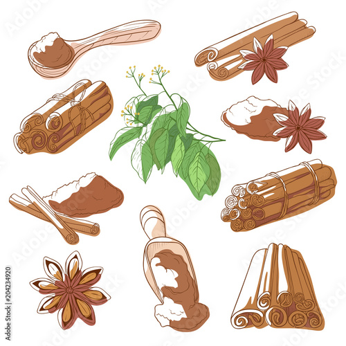 Cinnamon sticks set