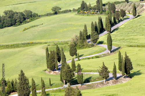 Tuscan roads