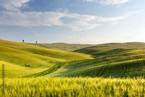 Wide views of Tuscany