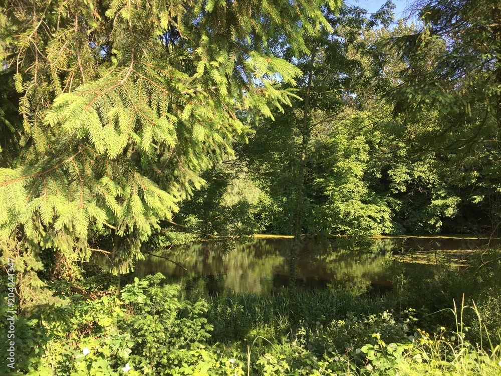 Am See