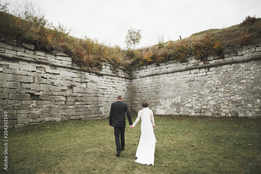 Beautiful romantic wedding couple of newlyweds hugging near old castle Beautiful romantic wedding couple of newlyweds hugging near old castle