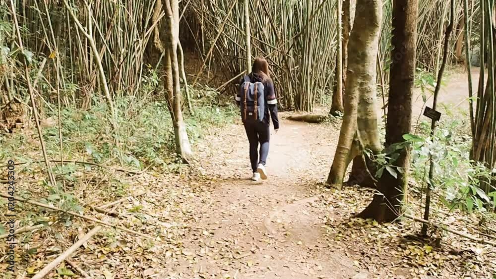Full video HD summer and nature photographer concept from woman adventure and travel with take photo by her camera in the forest Full video HD summer and nature photographer concept from woman adventure and travel with take photo by her camera in the forest