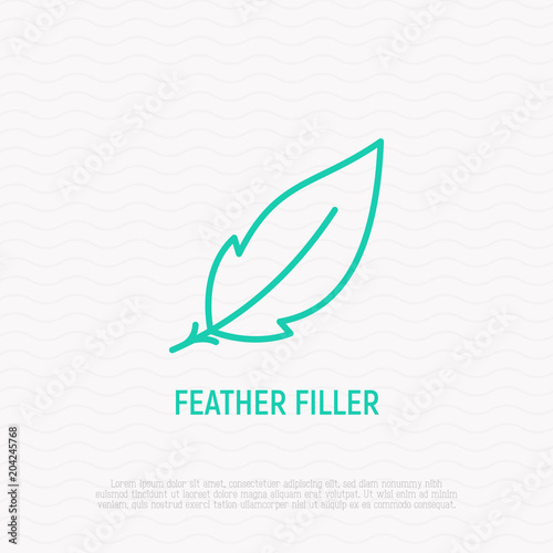 Feather filler sign. Modern vector illustration, thin line icon.