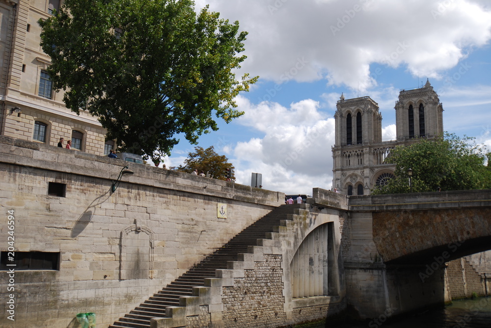 Notre Dame de Paris; waterway; building; sky; tree Notre Dame de Paris; waterway; building; sky; tree