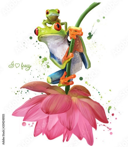 Two green frogs sitting on a flower