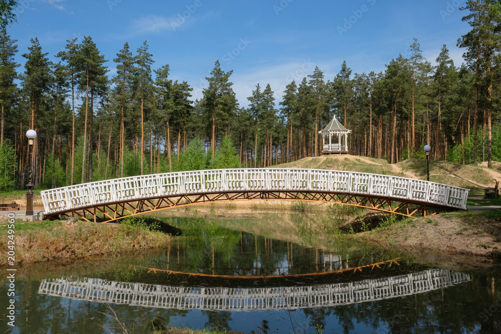 Fototapeta premium beautiful bridge over the lake in a pine forest