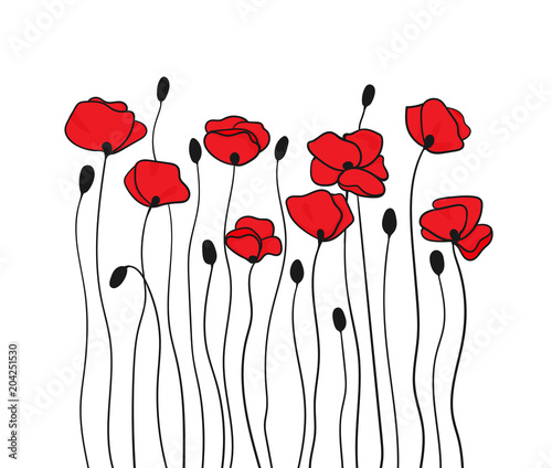 Poppy flowers and buds. Floral pattern in black and red.