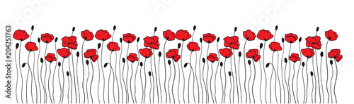 Poppy flowers and buds. Borders ornaments. Floral pattern in black and red.