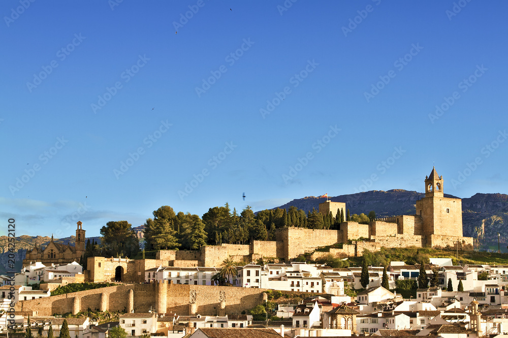 View of the village and medieval castle in Antequera