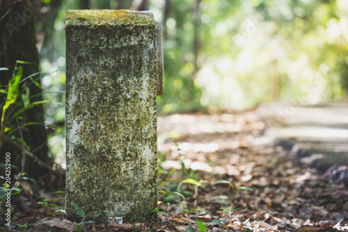 The old kilometres marker is made of cement by the road in the forest. The concept of tourism travel.