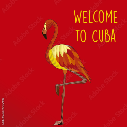welcome to cuba