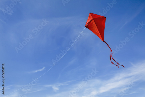 Fototapeta A red kite in the sky